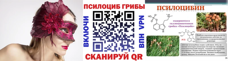 Псилоцибиновые грибы мухоморы  купить наркоту  Будённовск 